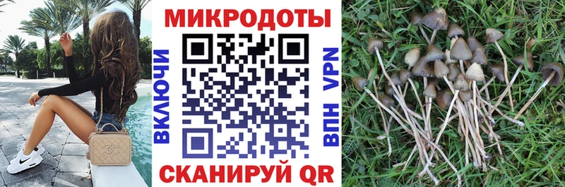 закладка  Кинешма  мориарти формула  Галлюциногенные грибы мухоморы 