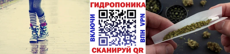 hydra как зайти Кинешма Бошки Шишки Bruce Banner купить наркотики сайты